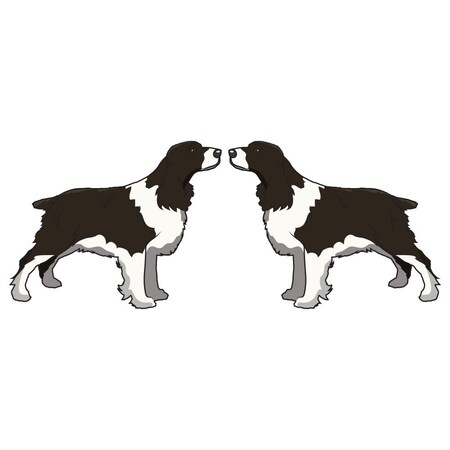 Signmission English Springer Spaniel Dog Decal, Dog Lover Decor Vinyl Sticker D-24-English Springer Spaniel